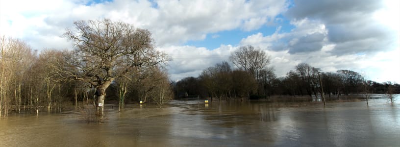 Local Flood Prevention Plans and Flood Advice