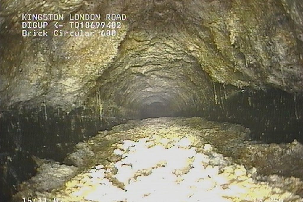 To Flush or Not to Flush?