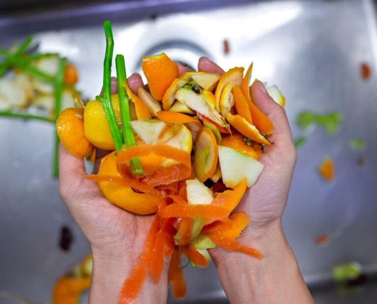 Commercial Waste Types Explained: What Your Business Must Manage and How to Stay Compliant