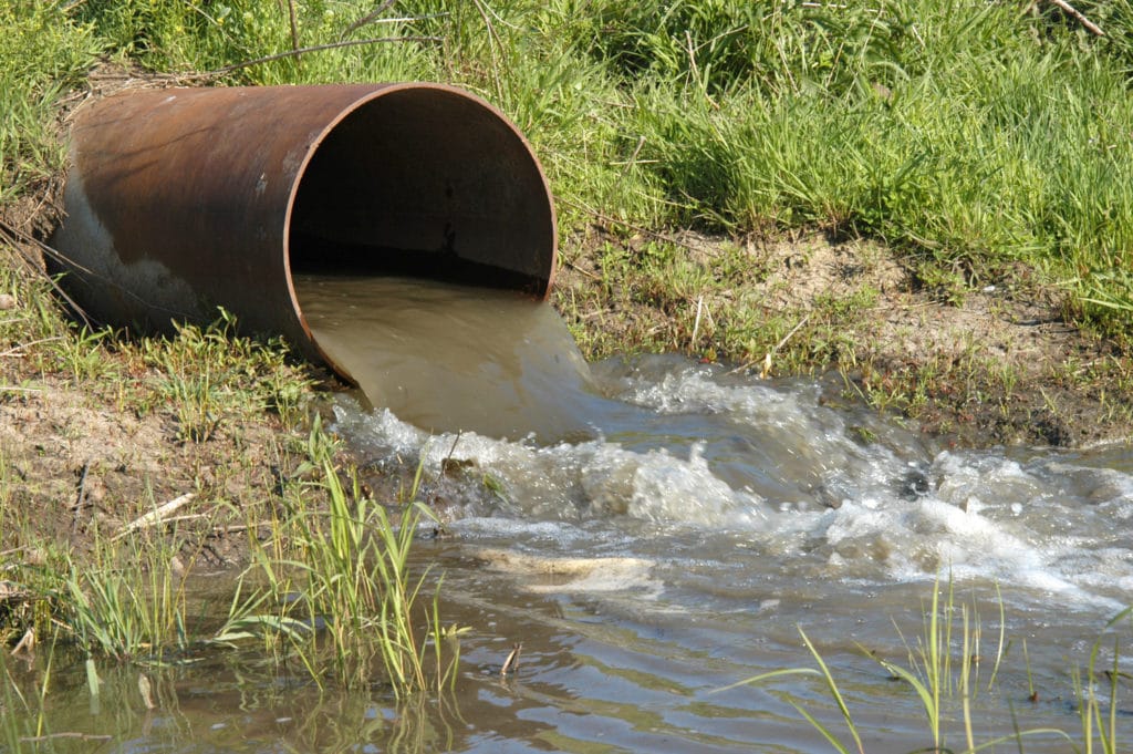 5 Common Household Products that are Devastating to our Aquatic Ecosystem