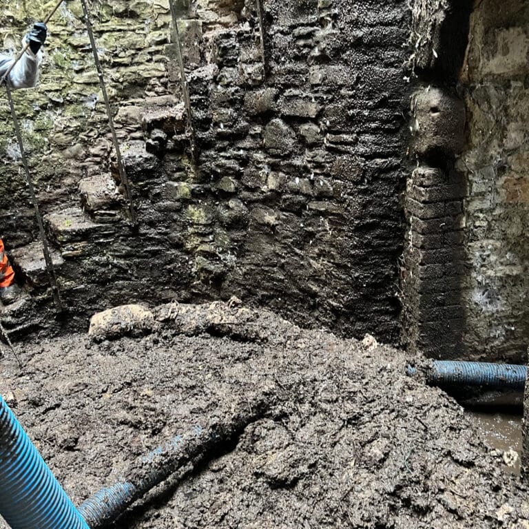 Guano Removal Before Guano Removal Before