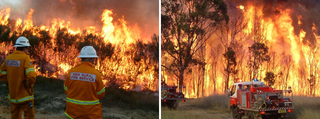 Australian Bushfire Relief - Donations to the NSW Rural Fire Service