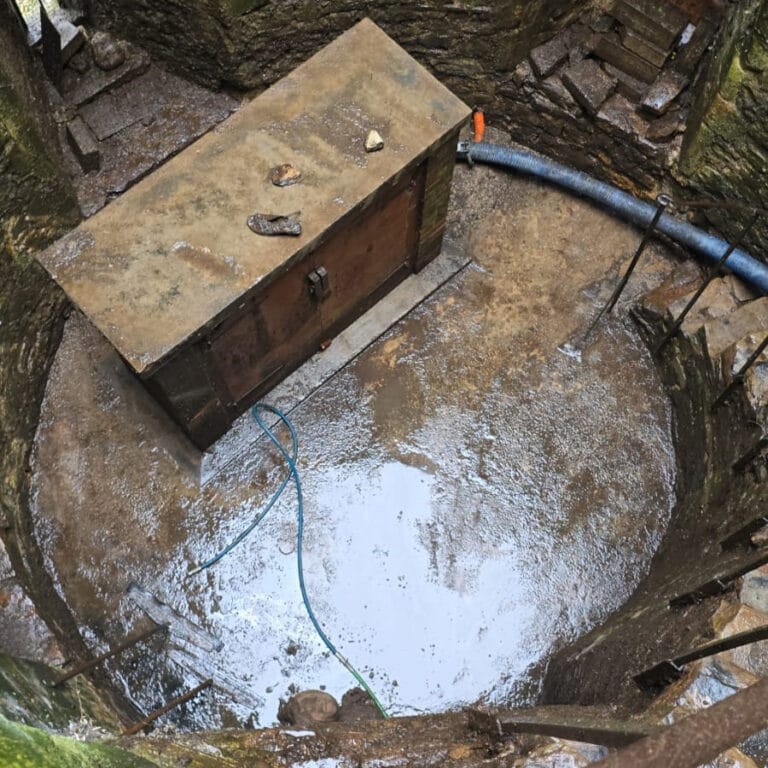 Restoring Heritage: Guano Removal at Landgate Arch