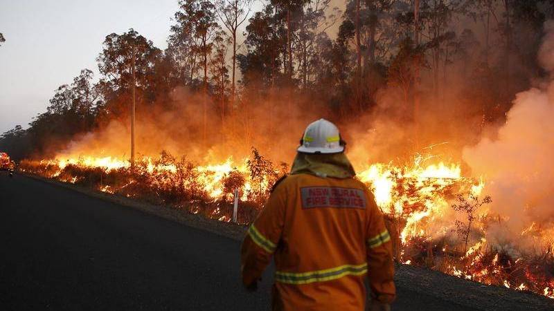 Australian Bushfire Relief – Donations to the NSW Rural Fire Service